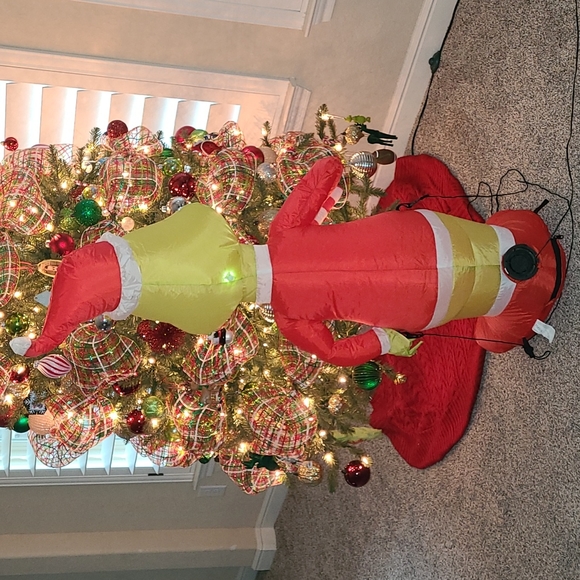 THE GRINCH - Picture 6 of 8